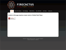 Tablet Screenshot of firecactus.com